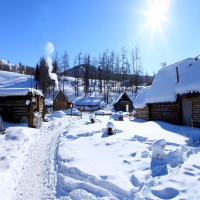 喀納斯冰雪風(fēng)情游